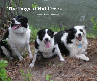 The Dogs of Hat Creek book cover