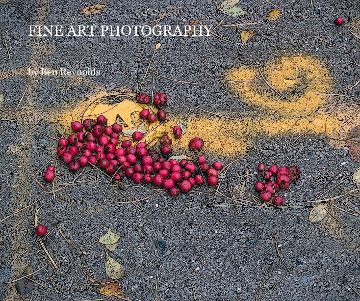 Bekijk FINE ART PHOTOGRAPHY op Ben Reynolds