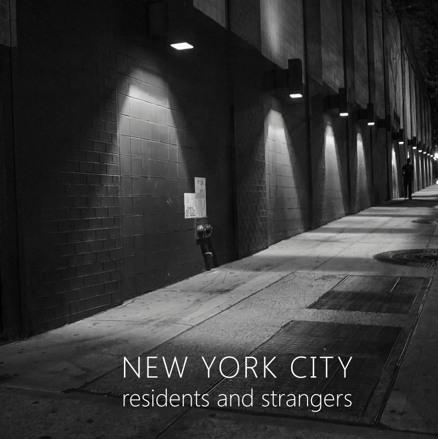 View NEW YORK CITY by PETER VAN TUIJL