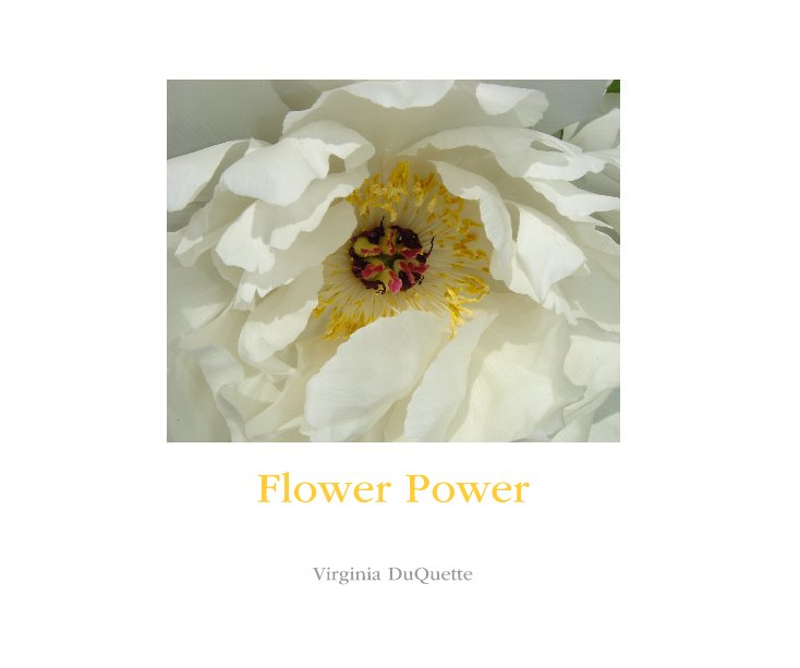 View Flower Power by Virginia DuQuette