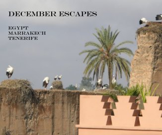 December Escapes book cover