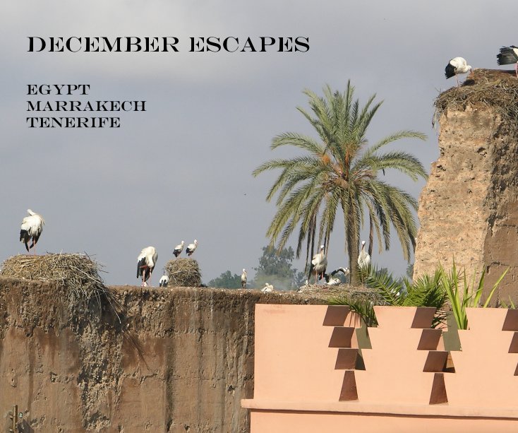 View December Escapes by Sami Miller
