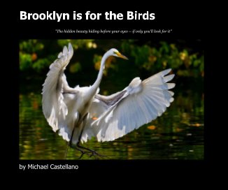 Brooklyn is for the Birds book cover