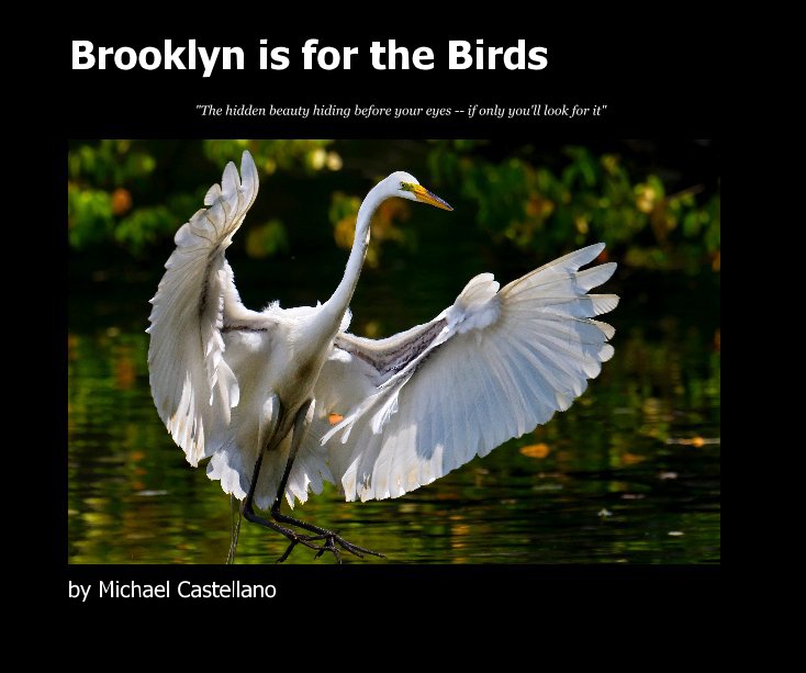 View Brooklyn is for the Birds by Michael Castellano