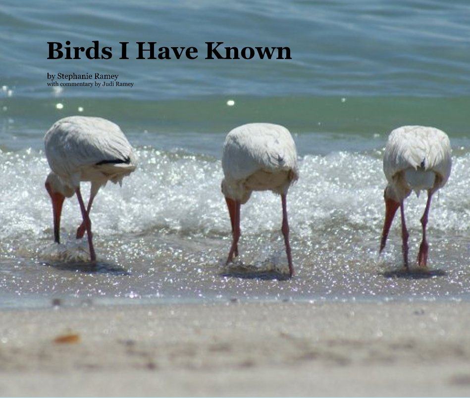 View Birds I Have Known by Stephanie Ramey with commentary by Judi Ramey