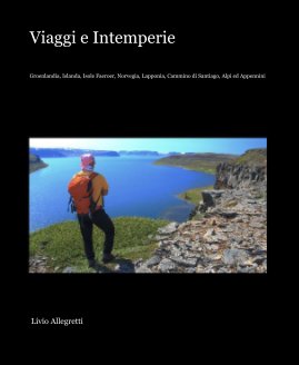 Viaggi e Intemperie book cover