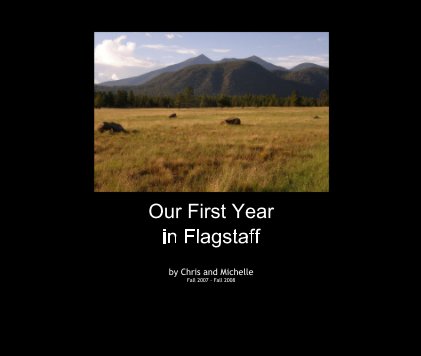 Our First Year In Flagstaff By Chris and Michelle book cover