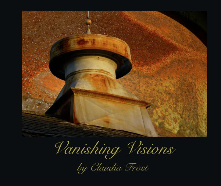 View Vanishing Visions by Claudia Frost