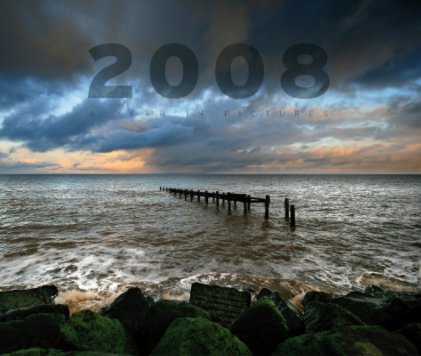 2008 A Year in Pictures book cover