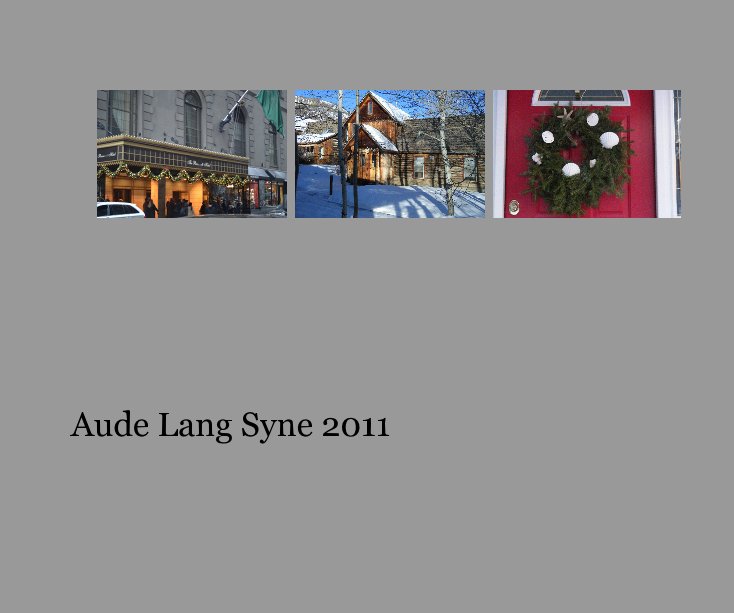 View Aude Lang Syne 2011 by mboetig