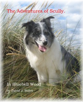The Adventures of Scully. book cover