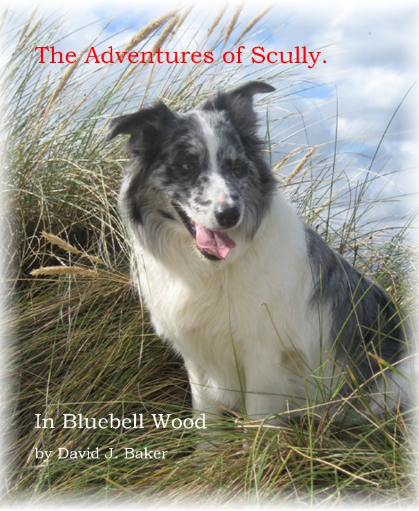 View The Adventures of Scully. by David J. Baker