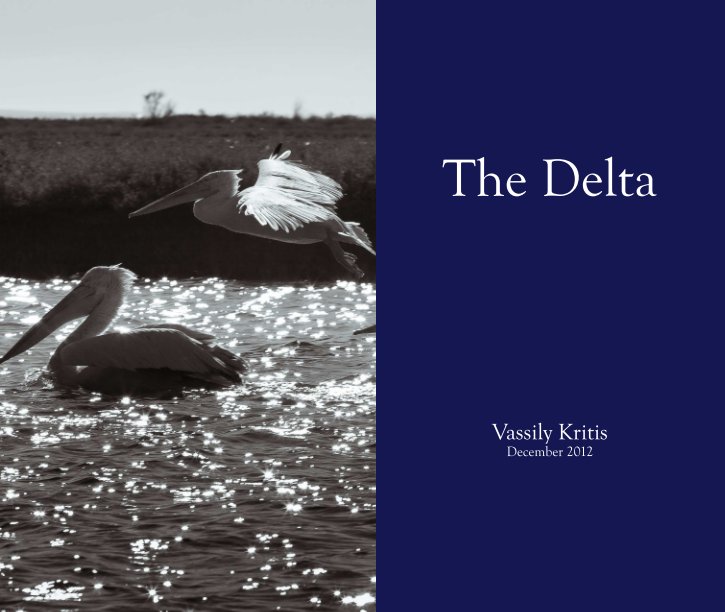 View The Delta by Vassily Kritis