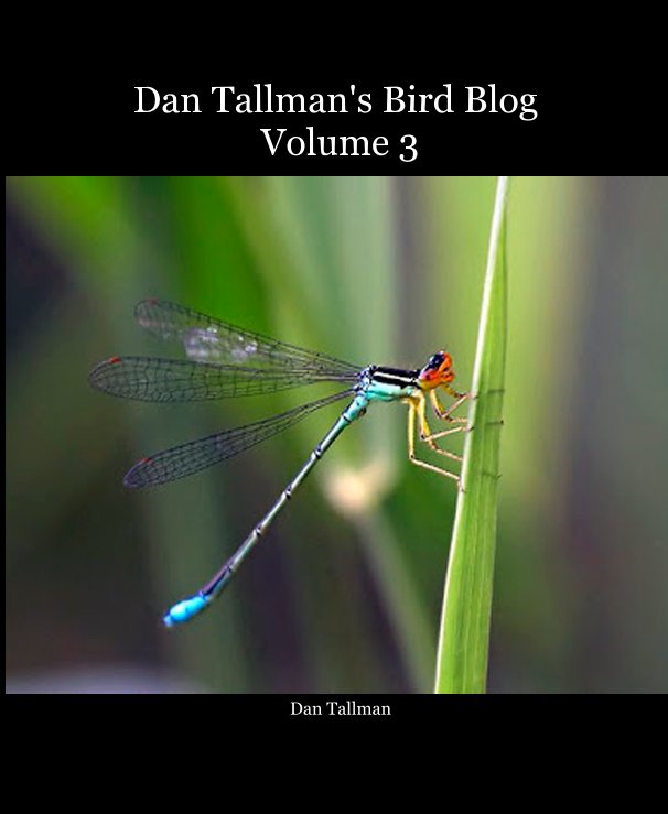 View Dan Tallman's Bird Blog Volume 3 by Dan Tallman