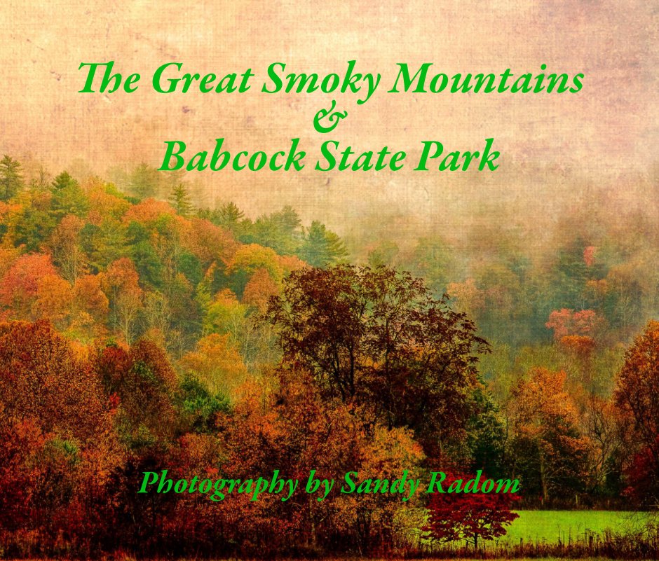 Visualizza The Great Smoky Mts. - Babcock State Park di Sandy Radom