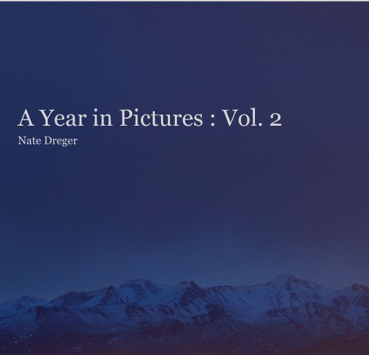 View A Year in Pictures : Vol. 2 by Nate Dreger