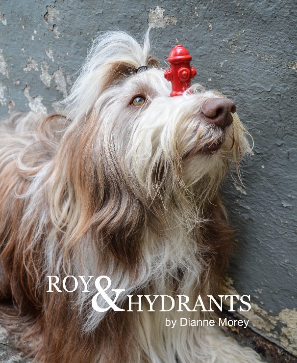View Roy & Hydrants by Dianne Morey
