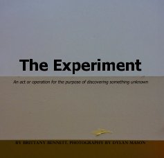 The Experiment book cover