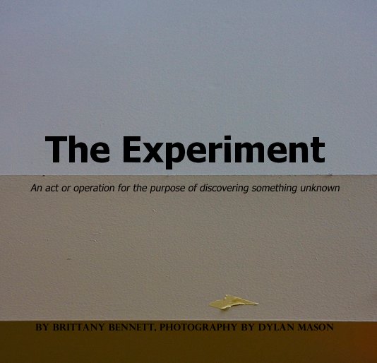 View The Experiment by Brittany Bennett, Photography By Dylan Mason
