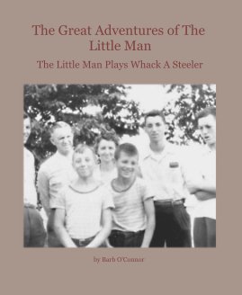 The Great Adventures of The Little Man book cover