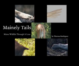 Mainely Tails book cover