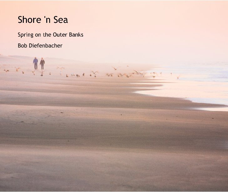 View Shore 'n Sea by Bob Diefenbacher