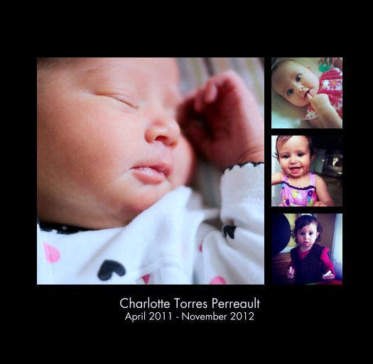 View Charlotte Torres Perreault
April 2011 - November 2012 by brendaet