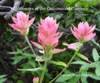 Wildflowers of the Cottonwood Canyons book cover