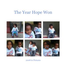 The Year Hope Won book cover