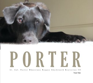 Porter - Year One book cover