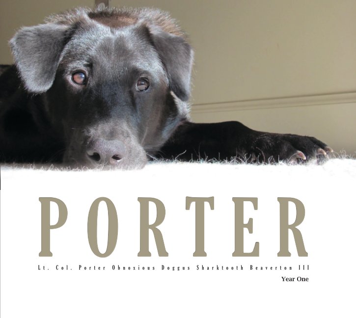 View Porter - Year One by Christopher R. Kopacz