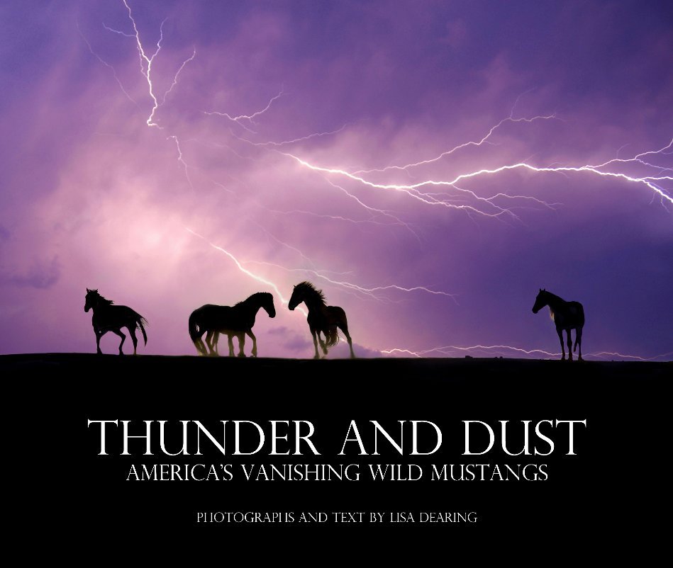 Bekijk Thunder and Dust op Lisa Dearing