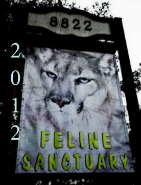 Bear Creek Feline Center book cover