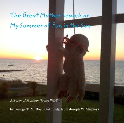 The Great Mother Search or My Summer of Fun in the Sun book cover