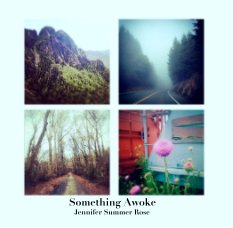 Something Awoke book cover
