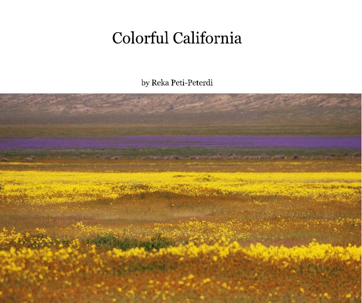 View Colorful California by Reka Peti-Peterdi