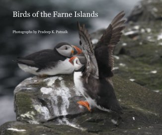 Birds of the Farne Islands book cover