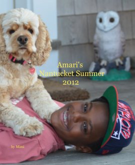 Amari's Nantucket Summer 2012 book cover