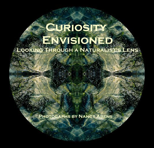 View Curiosity Envisioned by Nancy Abens