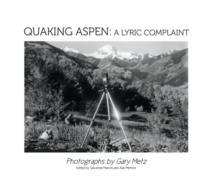 View Quaking Aspen by Gary Metz
