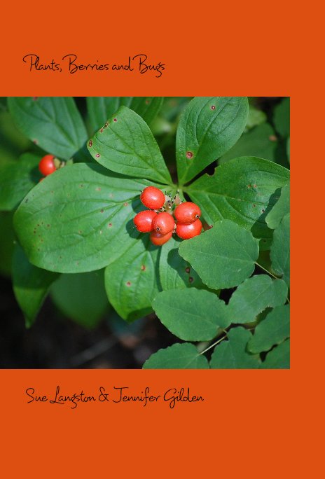 View Plants, Berries and Bugs by Sue Langston & Jennifer Gilden