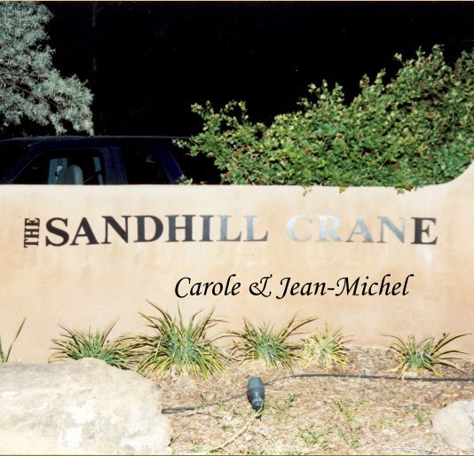 View Carole & Jean-Michel by Carole Summers