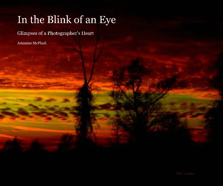 Ver In the Blink of an Eye por Artemise McPhail.