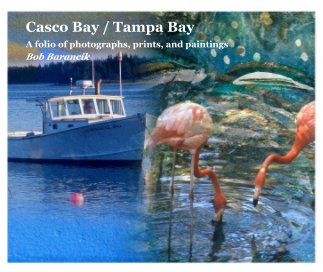 Casco Bay / Tampa Bay | 2nd Edition book cover