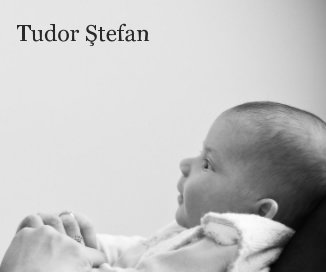 Tudor Stefan book cover