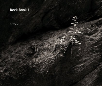 Rock Book I book cover