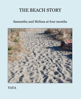 THE BEACH STORY book cover