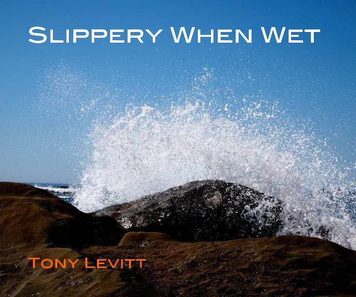 View Slippery When Wet by Tony Levitt
