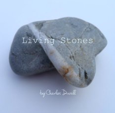 Living Stones book cover