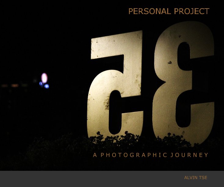 Visualizza Personal Project di Alvin Tse
